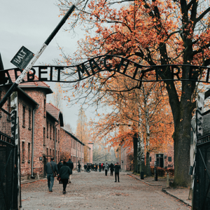 Auschwitz Trip- The Truth About History