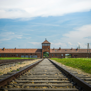Auschwitz Trip- The Truth About History