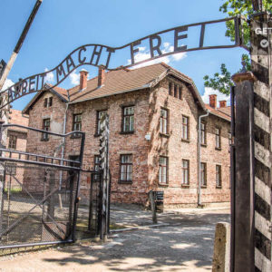 Auschwitz Trip- The Truth About History