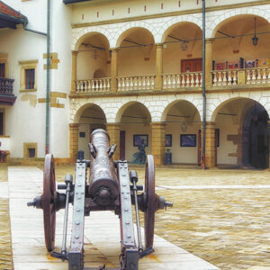 Transfer from Krakow to Niepolomice.