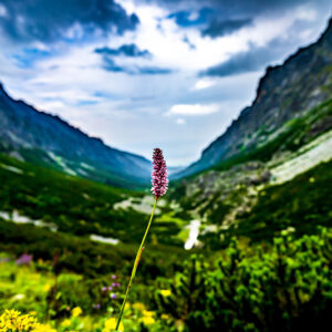 Transfer from Krakow to Liptovsky Mikulas (Slovakia).