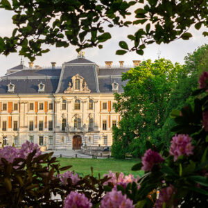 Transfer from Krakow to Pszczyna.