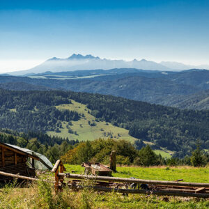 Transfer from Krakow to Krynica.