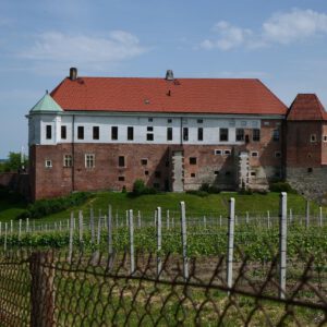 Transfer from Sanok to Krakow.